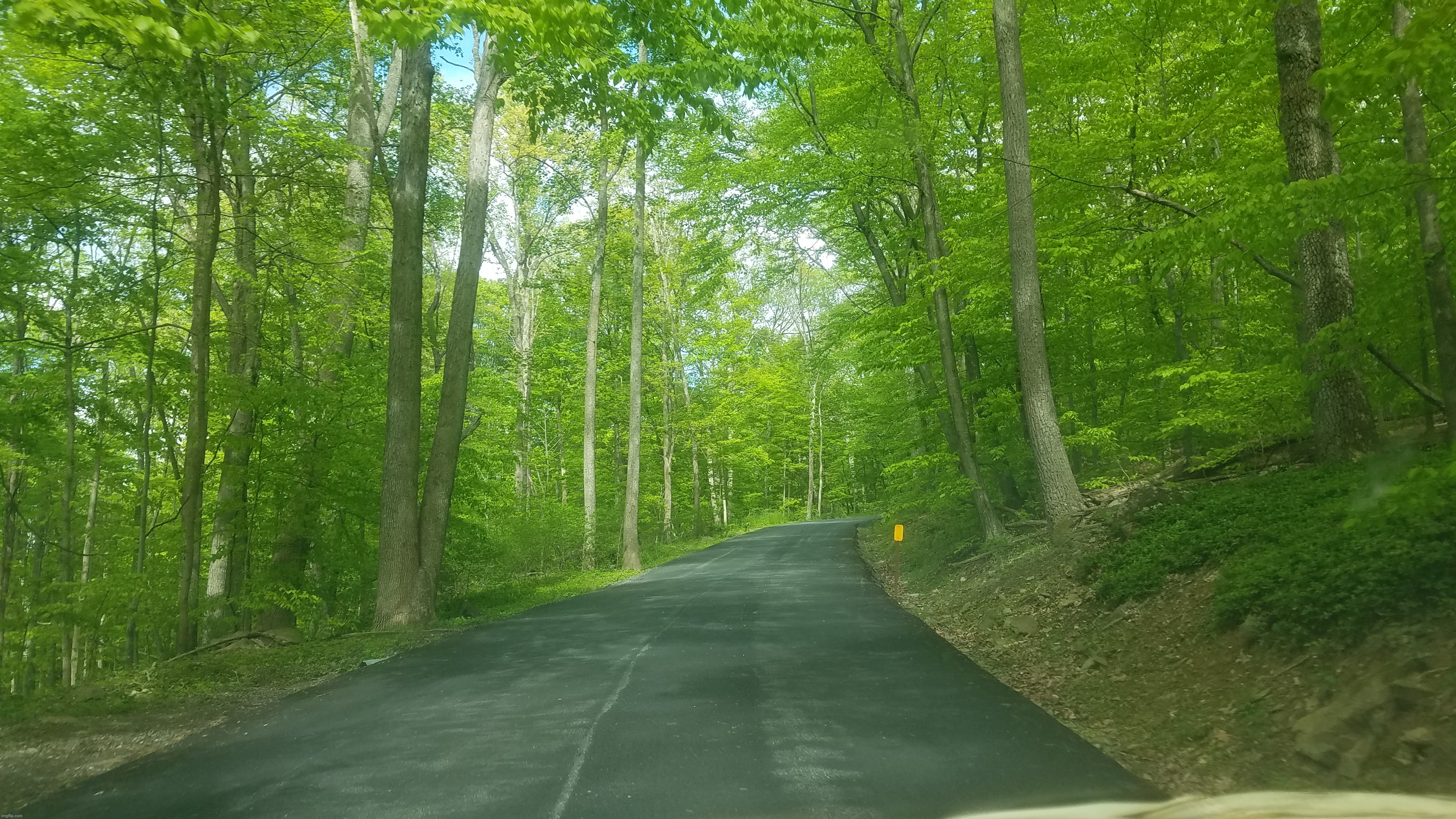 Take me home country roads. My street is beautiful isn't it? | made w/ Imgflip meme maker
