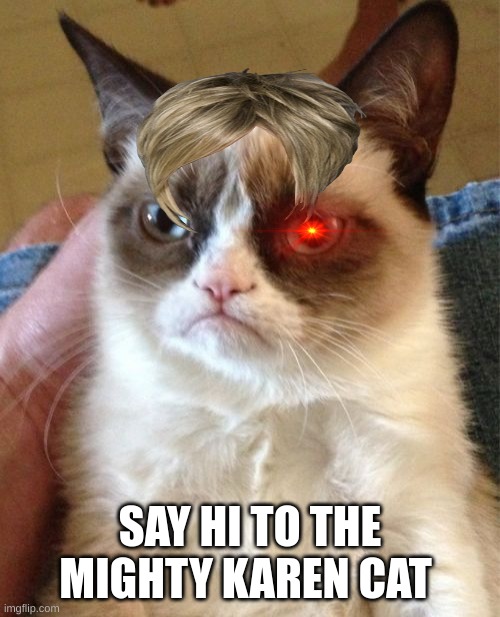 The mighty karen cat |  SAY HI TO THE MIGHTY KAREN CAT | image tagged in memes,grumpy cat | made w/ Imgflip meme maker