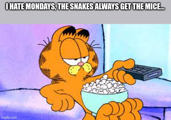 garfeild | I HATE MONDAYS, THE SNAKES ALWAYS GET THE MICE... | image tagged in garfeild | made w/ Imgflip meme maker