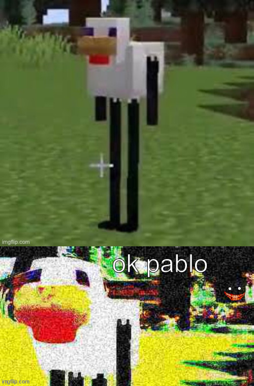 pet the chicken. | ok pablo | image tagged in too late | made w/ Imgflip meme maker