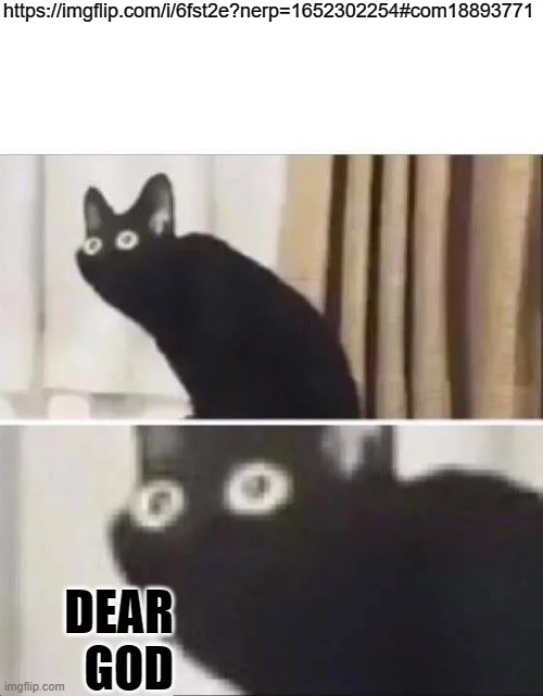 Oh No Black Cat - Imgflip