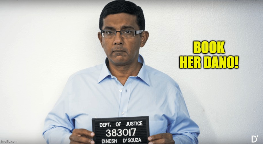 Dinesh D'Souza Mugshot | BOOK HER DANO! | image tagged in dinesh d'souza mugshot | made w/ Imgflip meme maker