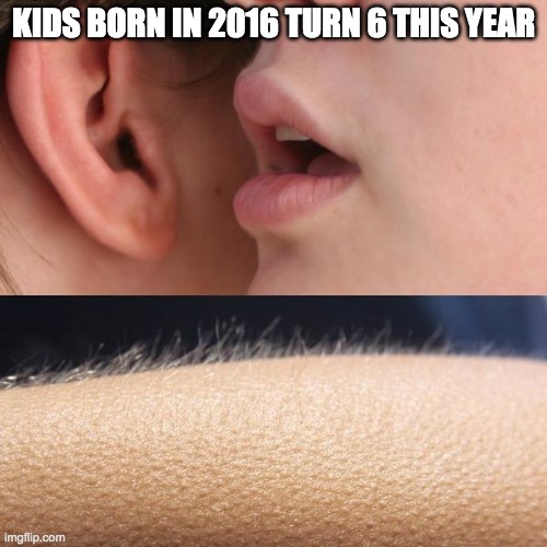 something stupid |  KIDS BORN IN 2016 TURN 6 THIS YEAR | image tagged in whisper and goosebumps,idk | made w/ Imgflip meme maker