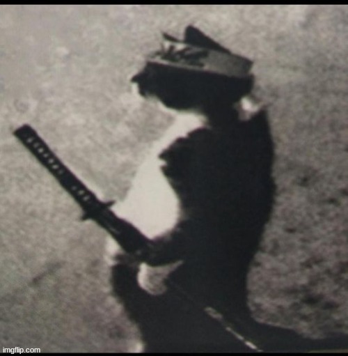 Narucat: Final boss battle coming soon. | made w/ Imgflip meme maker