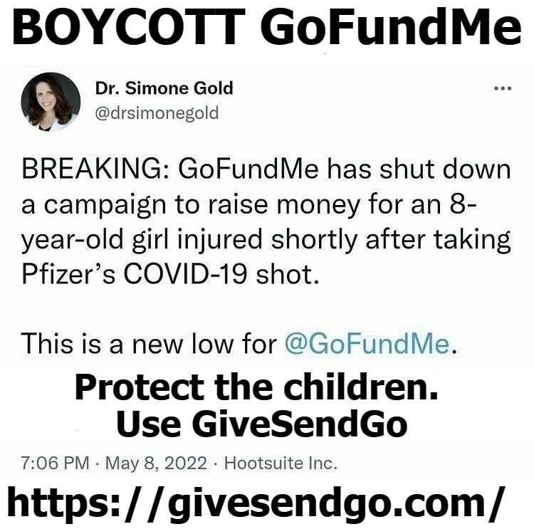 BOYCOTT GoFundMe! | image tagged in boycott,gofundme,protect the children,save the children,givesendgo | made w/ Imgflip meme maker