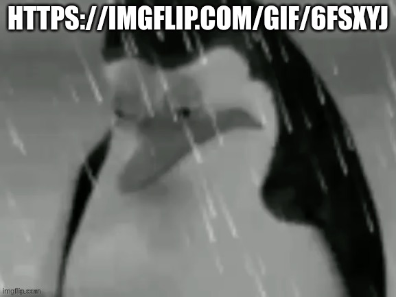 link in title mf https://imgflip.com/gif/6fsxyj | HTTPS://IMGFLIP.COM/GIF/6FSXYJ | image tagged in sadge | made w/ Imgflip meme maker