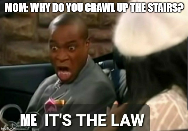It's the law | MOM: WHY DO YOU CRAWL UP THE STAIRS? ME | image tagged in it's the law | made w/ Imgflip meme maker