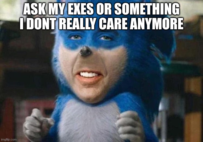 sonicholas cage | ASK MY EXES OR SOMETHING I DONT REALLY CARE ANYMORE | image tagged in sonicholas cage | made w/ Imgflip meme maker