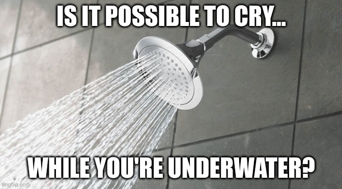 This has been, shower thoughts with Foxy. | IS IT POSSIBLE TO CRY... WHILE YOU'RE UNDERWATER? | image tagged in shower thoughts | made w/ Imgflip meme maker