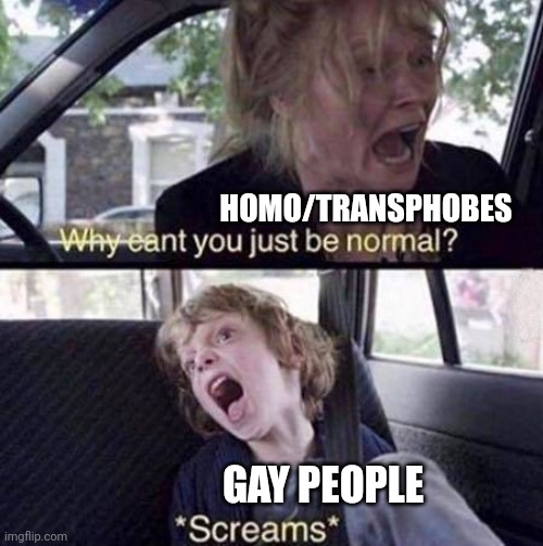 never normal in my life im back | HOMO/TRANSPHOBES; GAY PEOPLE | image tagged in why can't you just be normal | made w/ Imgflip meme maker