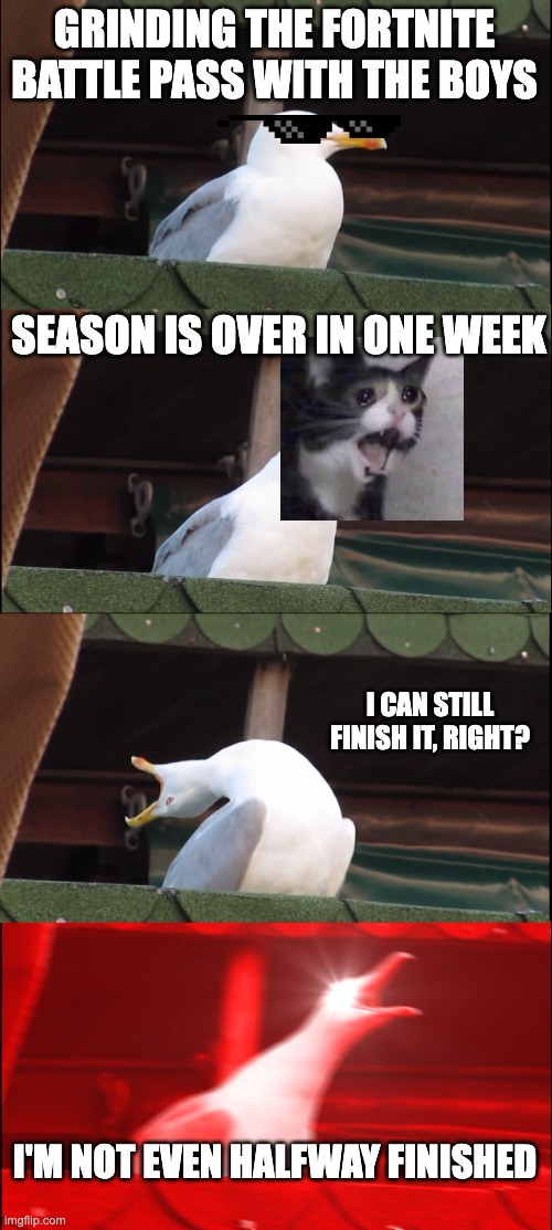 Inhaling Seagull Meme | GRINDING THE FORTNITE BATTLE PASS WITH THE BOYS; SEASON IS OVER IN ONE WEEK; I CAN STILL FINISH IT, RIGHT? I'M NOT EVEN HALFWAY FINISHED | image tagged in memes,inhaling seagull | made w/ Imgflip meme maker