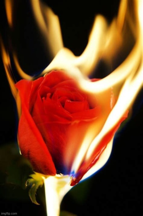 :D | made w/ Imgflip meme maker