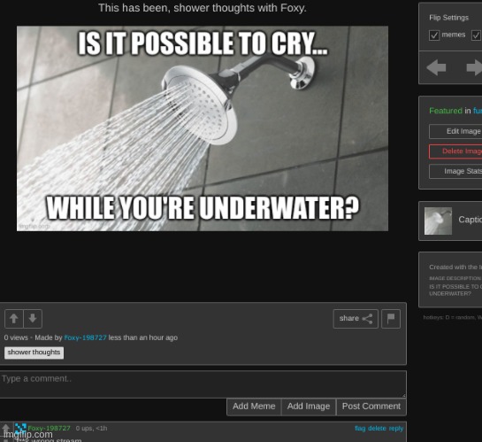 watch someone flag my comment | made w/ Imgflip meme maker
