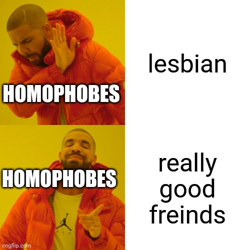 Drake Hotline Bling | lesbian; HOMOPHOBES; really good freinds; HOMOPHOBES | image tagged in memes,drake hotline bling | made w/ Imgflip meme maker