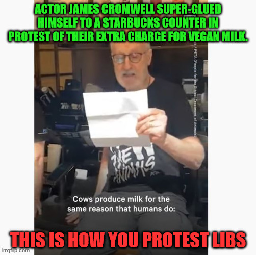 Libs should start super gluing their butts too | ACTOR JAMES CROMWELL SUPER-GLUED HIMSELF TO A STARBUCKS COUNTER IN PROTEST OF THEIR EXTRA CHARGE FOR VEGAN MILK. THIS IS HOW YOU PROTEST LIBS | image tagged in protests | made w/ Imgflip meme maker