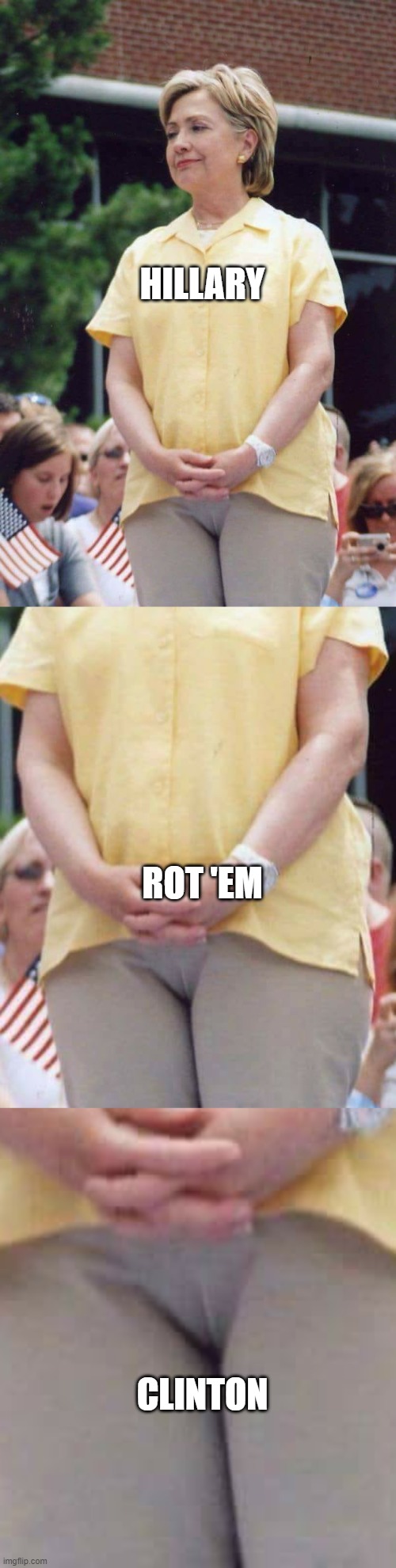 HILLARY ROT 'EM CLINTON | image tagged in hillary clinton camel toe | made w/ Imgflip meme maker