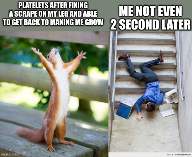  ME NOT EVEN 2 SECOND LATER; PLATELETS AFTER FIXING A SCRAPE ON MY LEG AND ABLE TO GET BACK TO MAKING ME GROW | image tagged in grateful,guy falling down stairs | made w/ Imgflip meme maker