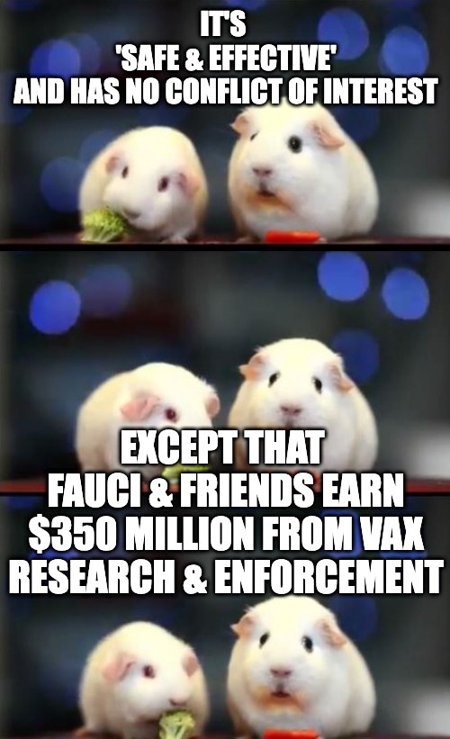 It's safe & effective | IT'S 
'SAFE & EFFECTIVE'
AND HAS NO CONFLICT OF INTEREST; EXCEPT THAT 
FAUCI & FRIENDS EARN $350 MILLION FROM VAX RESEARCH & ENFORCEMENT | image tagged in scared guinea pigs | made w/ Imgflip meme maker