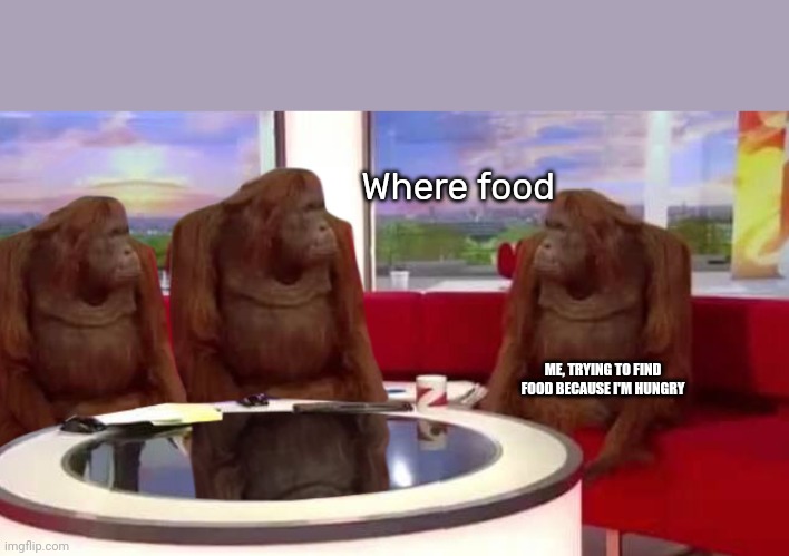 where monkey | Where food; ME, TRYING TO FIND FOOD BECAUSE I'M HUNGRY | image tagged in where monkey | made w/ Imgflip meme maker