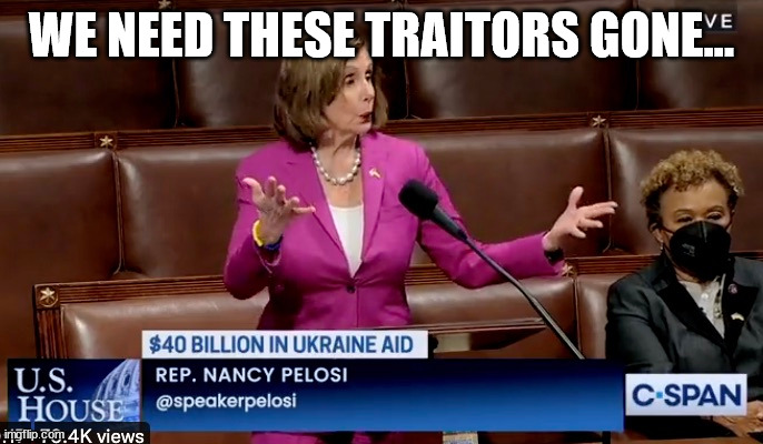 U.S. gov should be prioritizing its own citizens... | WE NEED THESE TRAITORS GONE... | image tagged in government corruption,corrupt,politicians | made w/ Imgflip meme maker