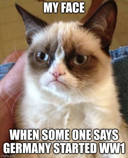 Grumpy Cat | MY FACE; WHEN SOME ONE SAYS GERMANY STARTED WW1 | image tagged in memes,grumpy cat | made w/ Imgflip meme maker