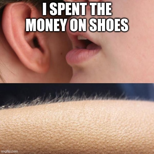 Whisper and Goosebumps | I SPENT THE MONEY ON SHOES | image tagged in whisper and goosebumps | made w/ Imgflip meme maker