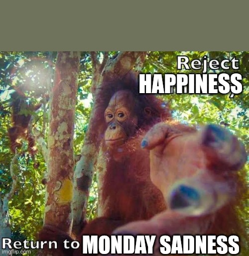 Return to monke | HAPPINESS MONDAY SADNESS | image tagged in return to monke | made w/ Imgflip meme maker