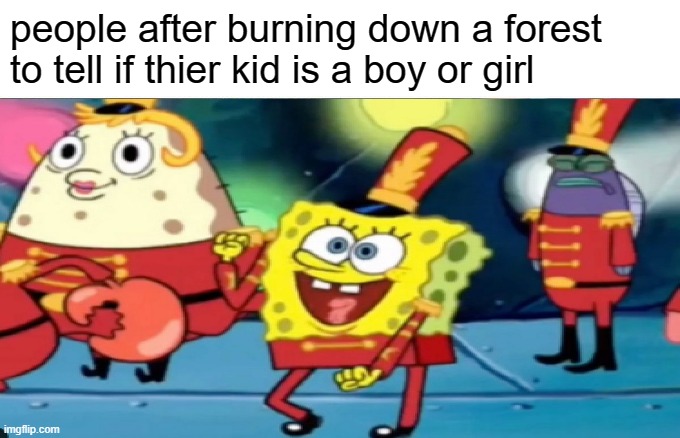 people after burning down a forest to tell if thier kid is a boy or girl | image tagged in funny memes | made w/ Imgflip meme maker