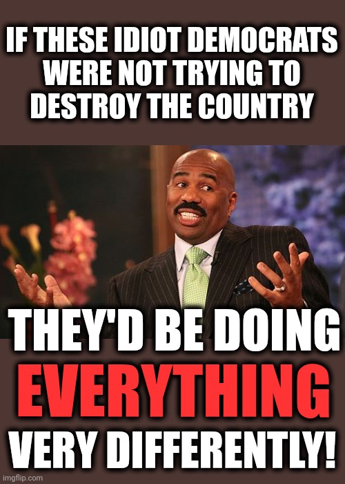 Steve Harvey Meme | IF THESE IDIOT DEMOCRATS
WERE NOT TRYING TO
DESTROY THE COUNTRY THEY'D BE DOING EVERYTHING VERY DIFFERENTLY! | image tagged in memes,steve harvey | made w/ Imgflip meme maker