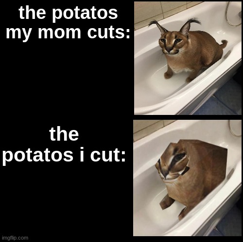 isnt this true | the potatos my mom cuts:; the potatos i cut: | image tagged in blank,floppa,memes | made w/ Imgflip meme maker
