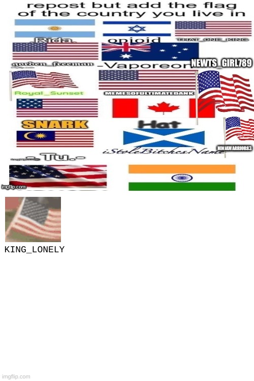 repost with ur countries flag on it | KING_LONELY | image tagged in blank white template | made w/ Imgflip meme maker