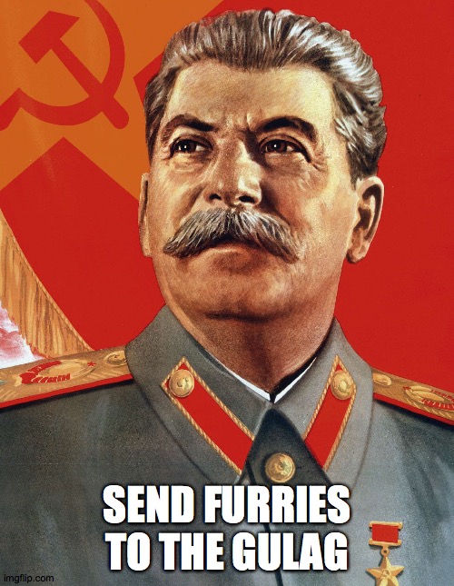 help the motherland | SEND FURRIES TO THE GULAG | image tagged in joseph stalin,ussr | made w/ Imgflip meme maker
