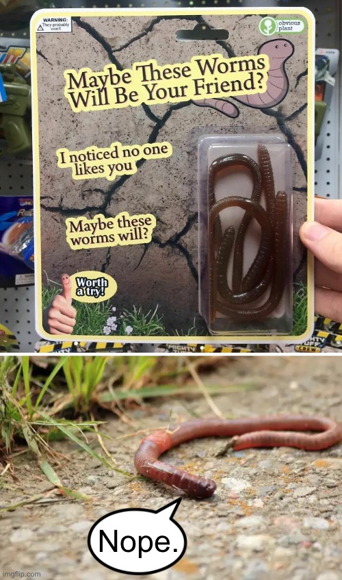 Ask Me About My Worms | Nope. | image tagged in funny memes,fake products | made w/ Imgflip meme maker