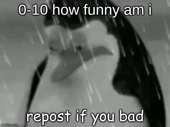 the sad | 0-10 how funny am i; repost if you bad | image tagged in the sad | made w/ Imgflip meme maker