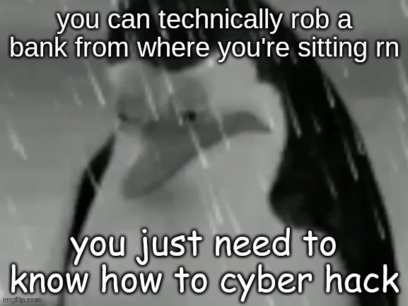 the sad | you can technically rob a bank from where you're sitting rn; you just need to know how to cyber hack | image tagged in the sad | made w/ Imgflip meme maker