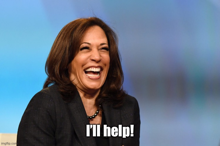 Kamala Harris laughing | I’ll help! | image tagged in kamala harris laughing | made w/ Imgflip meme maker