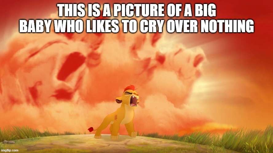 Cry about it, big baby | THIS IS A PICTURE OF A BIG BABY WHO LIKES TO CRY OVER NOTHING | image tagged in kion roar 2,memes,president_joe_biden | made w/ Imgflip meme maker