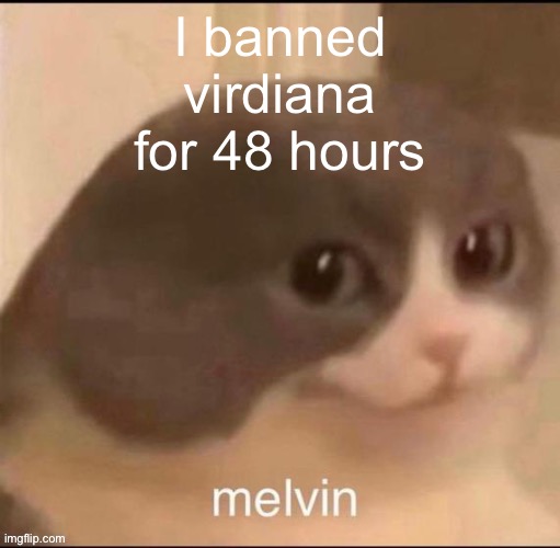 Comment banned | I banned virdiana for 48 hours | image tagged in melvin | made w/ Imgflip meme maker