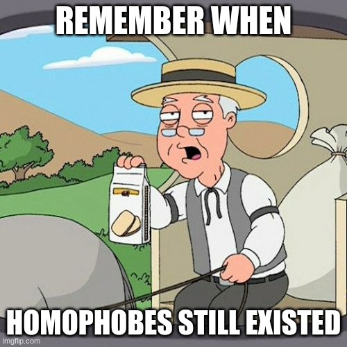 Pepperidge Farm Remembers | REMEMBER WHEN; HOMOPHOBES STILL EXISTED | image tagged in memes,pepperidge farm remembers | made w/ Imgflip meme maker