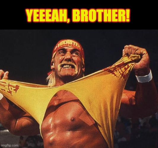 hulk hogan | YEEEAH, BROTHER! | image tagged in hulk hogan | made w/ Imgflip meme maker