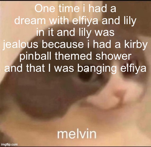 I swear i am going insane | One time i had a dream with elfiya and lily in it and lily was jealous because i had a kirby pinball themed shower and that I was banging elfiya | image tagged in melvin | made w/ Imgflip meme maker