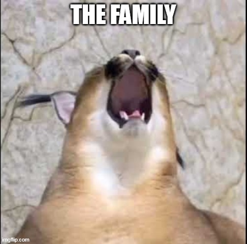 Floppa screaming | THE FAMILY | image tagged in floppa screaming | made w/ Imgflip meme maker