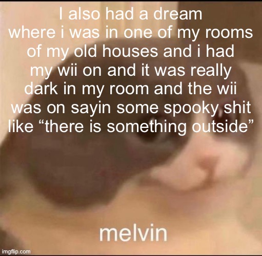 melvin | I also had a dream where i was in one of my rooms of my old houses and i had my wii on and it was really dark in my room and the wii was on sayin some spooky shit like “there is something outside” | image tagged in melvin | made w/ Imgflip meme maker