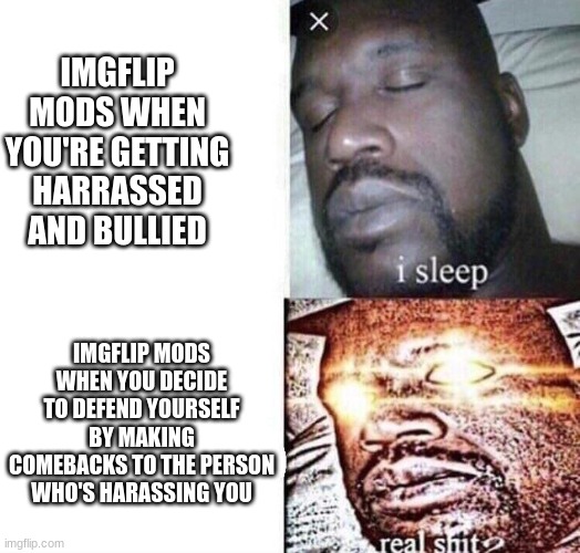 i sleep real shit | IMGFLIP MODS WHEN YOU'RE GETTING HARRASSED AND BULLIED; IMGFLIP MODS WHEN YOU DECIDE TO DEFEND YOURSELF BY MAKING COMEBACKS TO THE PERSON WHO'S HARASSING YOU | image tagged in i sleep real shit | made w/ Imgflip meme maker