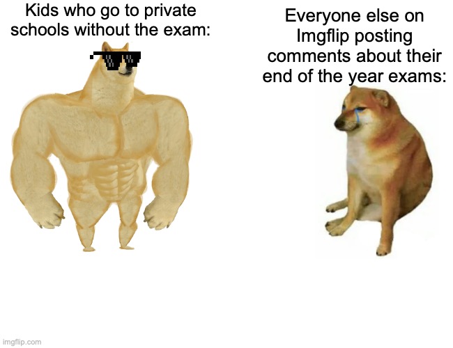 Private school MF's be like: | Kids who go to private schools without the exam:; Everyone else on Imgflip posting comments about their end of the year exams: | image tagged in memes,buff doge vs cheems | made w/ Imgflip meme maker