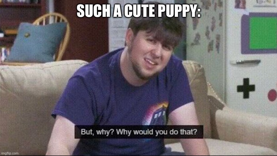 But why why would you do that? | SUCH A CUTE PUPPY: | image tagged in but why why would you do that | made w/ Imgflip meme maker