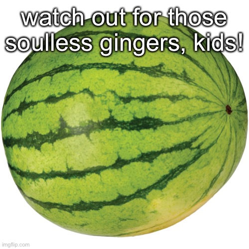 they’re trying to convince us they have them but they’re tricking you | watch out for those soulless gingers, kids! | made w/ Imgflip meme maker