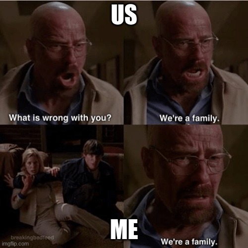 quality mems | US; ME | image tagged in what is wrong with you we're a family | made w/ Imgflip meme maker