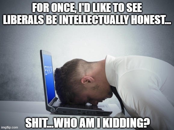 It never ends, does it? | FOR ONCE, I'D LIKE TO SEE LIBERALS BE INTELLECTUALLY HONEST... SHIT...WHO AM I KIDDING? | image tagged in smack head on table,liberals,democrats,woke,dimwits,liars | made w/ Imgflip meme maker