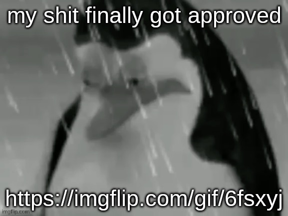 copy this link.. https://imgflip.com/gif/6fsxyj | my shit finally got approved; https://imgflip.com/gif/6fsxyj | image tagged in the sad | made w/ Imgflip meme maker